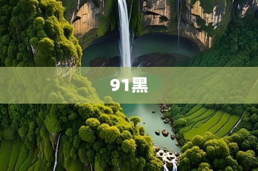 91黑