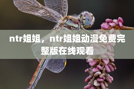 ntr姐姐，ntr姐姐动漫免费完整版在线观看