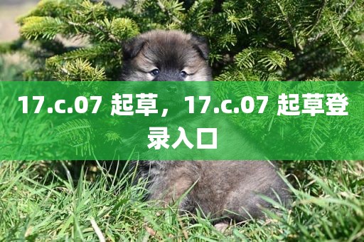17.c.07 起草，17.c.07 起草登录入口