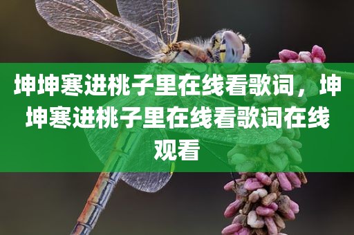 坤坤寒进桃子里在线看歌词，坤坤寒进桃子里在线看歌词在线观看