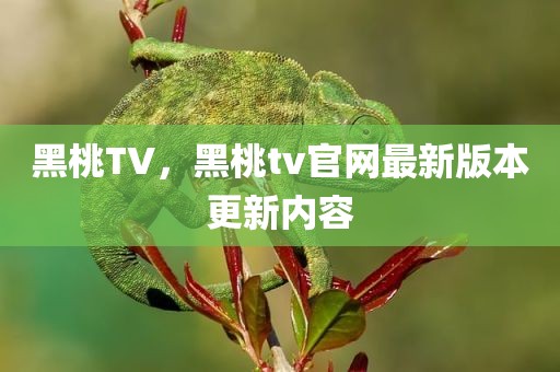 黑桃TV，黑桃tv官网最新版本更新内容