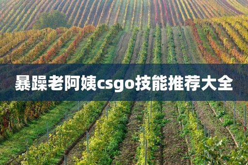 暴躁老阿姨csgo技能推荐大全