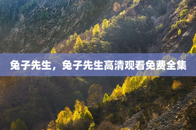 兔子先生，兔子先生高清观看免费全集