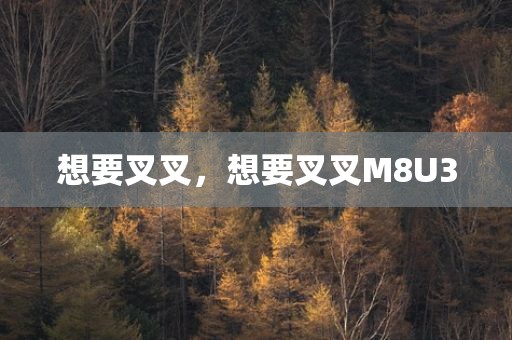 想要叉叉，想要叉叉M8U3