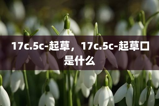 17c.5c-起草，17c.5c-起草口是什么