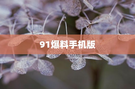 91爆料手机版