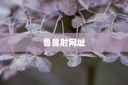 鲁鲁射网址