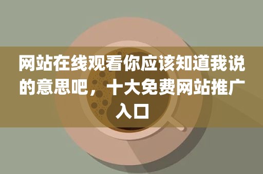 网站在线观看你应该知道我说的意思吧，十大免费网站推广入口