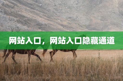 网站入口，网站入口隐藏通道