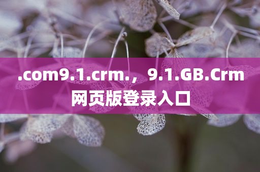 .com9.1.crm.，9.1.GB.Crm网页版登录入口