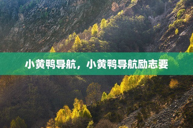小黄鸭导航，小黄鸭导航励志要
