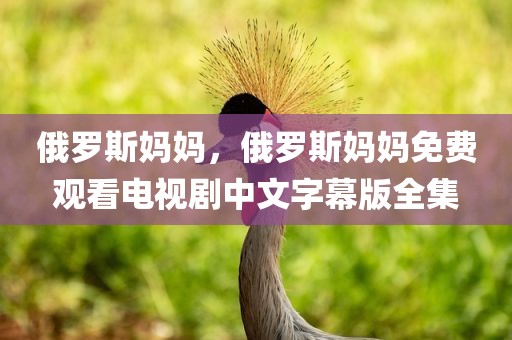 俄罗斯妈妈，俄罗斯妈妈免费观看电视剧中文字幕版全集