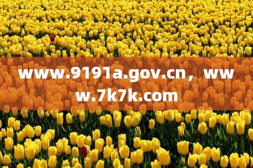 www.9191a.gov.cn，www.7k7k.com