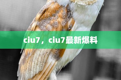 ciu7，ciu7最新爆料