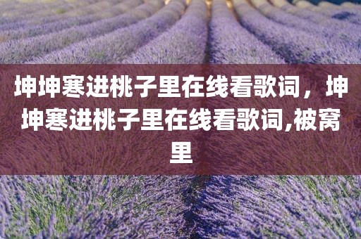 坤坤寒进桃子里在线看歌词，坤坤寒进桃子里在线看歌词,被窝里