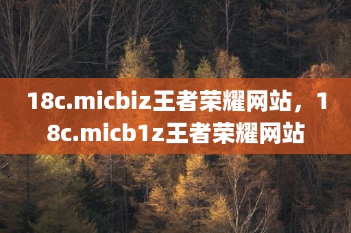 18c.micbiz王者荣耀网站，18c.micb1z王者荣耀网站