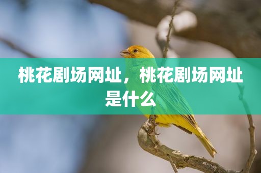 桃花剧场网址，桃花剧场网址是什么