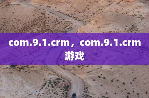 com.9.1.crm，com.9.1.crm游戏