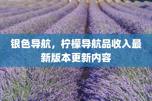 银色导航，柠檬导航品收入最新版本更新内容