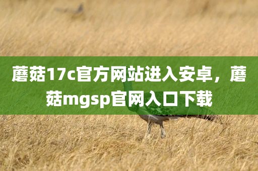 蘑菇17c官方网站进入安卓，蘑菇mgsp官网入口下载