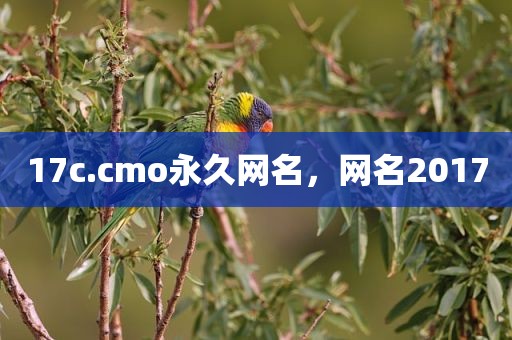 17c.cmo永久网名，网名2017