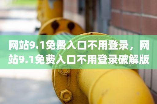 网站9.1免费入口不用登录，网站9.1免费入口不用登录破解版