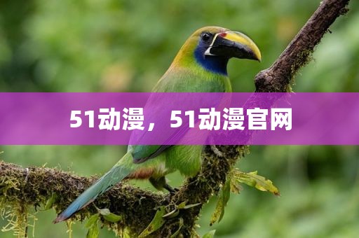 51动漫，51动漫官网