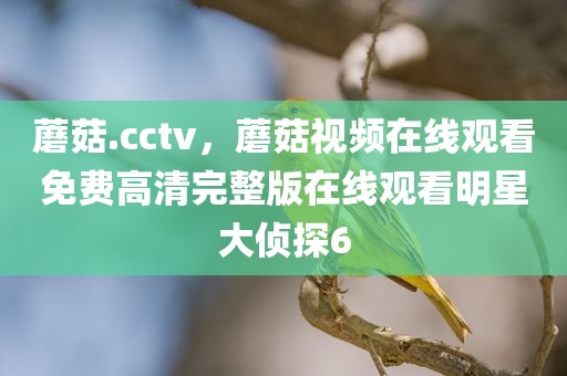蘑菇.cctv，蘑菇视频在线观看免费高清完整版在线观看明星大侦探6