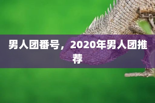 男人团番号，2020年男人团推荐