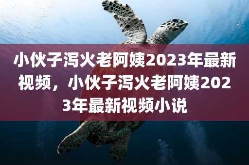 小伙子泻火老阿姨2023年最新视频，小伙子泻火老阿姨2023年最新视频小说