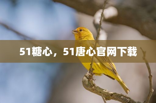 51糖心，51唐心官网下载