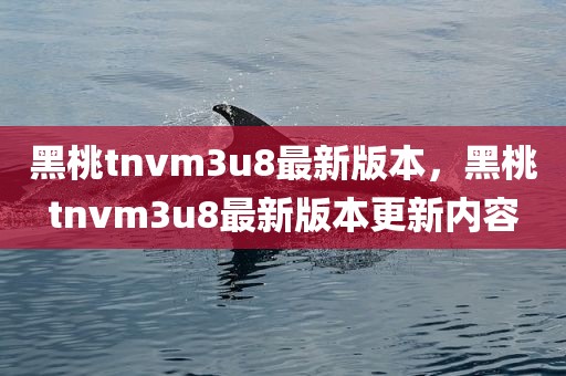黑桃tnvm3u8最新版本，黑桃tnvm3u8最新版本更新内容