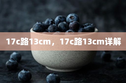 17c路13cm，17c路13cm详解