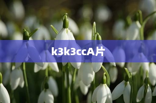 k3k3ccA片