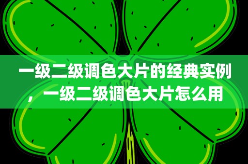 一级二级调色大片的经典实例，一级二级调色大片怎么用
