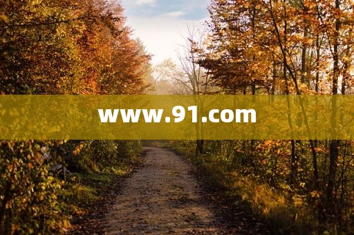 www.91.com