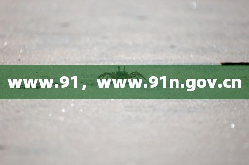 www.91，www.91n.gov.cn