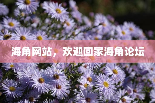海角网站，欢迎回家海角论坛