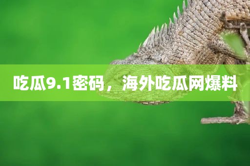 吃瓜9.1密码，海外吃瓜网爆料