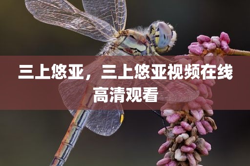 三上悠亚，三上悠亚视频在线高清观看