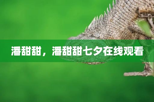 潘甜甜，潘甜甜七夕在线观看