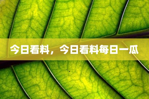今日看料，今日看料每日一瓜