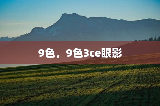 9色，9色3ce眼影