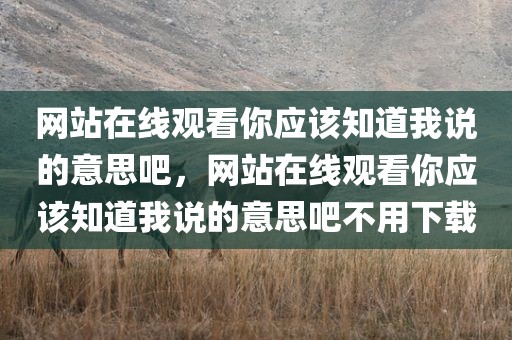 网站在线观看你应该知道我说的意思吧，网站在线观看你应该知道我说的意思吧不用下载