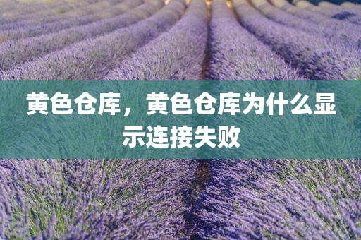 黄色仓库，黄色仓库为什么显示连接失败