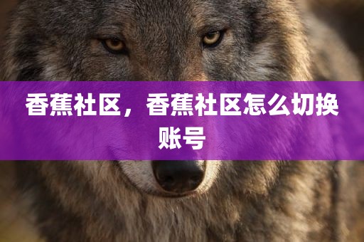 香蕉社区，香蕉社区怎么切换账号