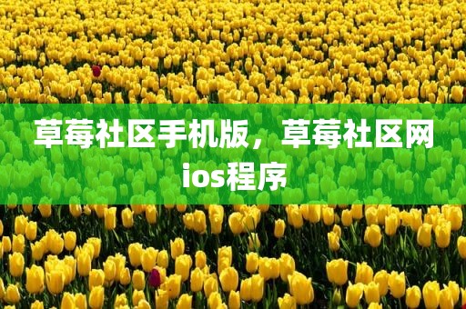 草莓社区手机版，草莓社区网ios程序