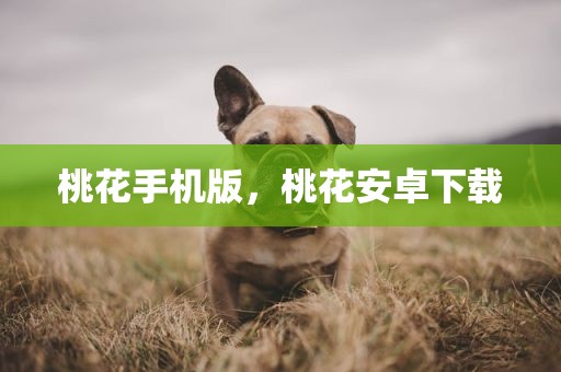 桃花手机版，桃花安卓下载