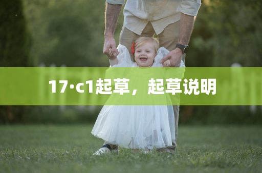 17·c1起草，起草说明