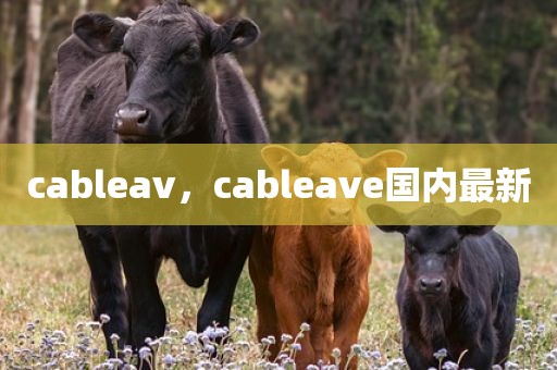 cableav，cableave国内最新